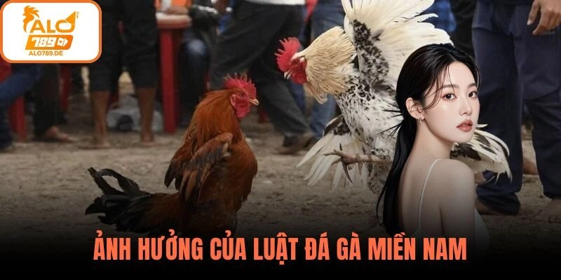 Ảnh hưởng của luật đá gà miền Nam đến hoạt động cá cược ALO789